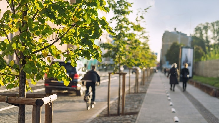 Plus de verdure, moins de pollution : en ville, la recette pour une meilleure santé