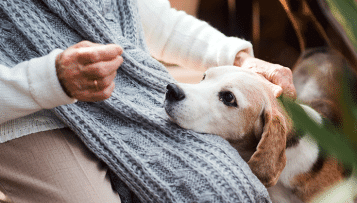 Les animaux de compagnie sont les bienvenus en Ehpad